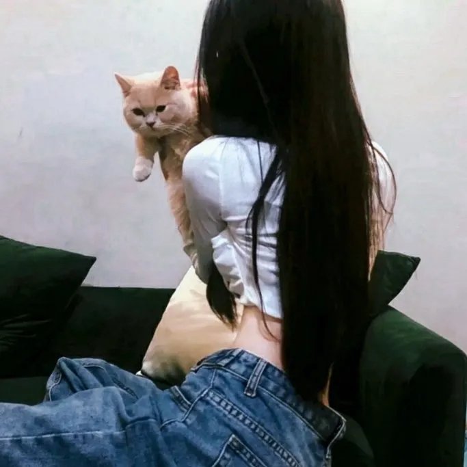 爱莉思的情书